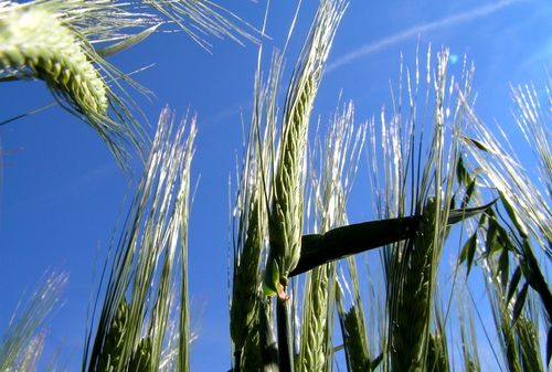 Letní soutěžení s Canonem