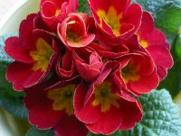 HP Photosmart R927: Vyvážené stříbro