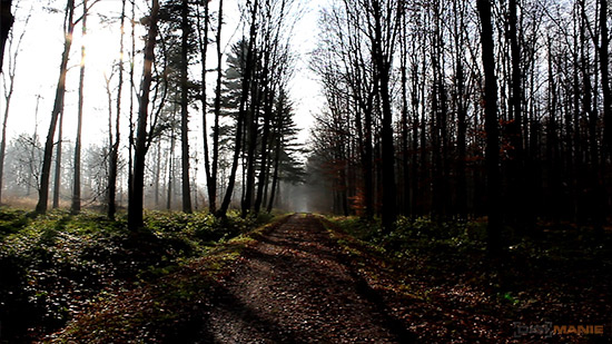 Canon EOS 1200D: vylepšený základ