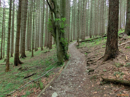 Casio EXILIM ZR100: kapesní formule