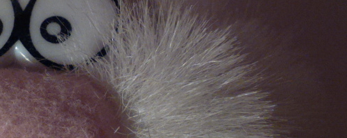 Nokia 808 PureView: mobilní zrcadlovkobijec