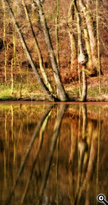 Tipy a Triky nejen pro začátečníky, díl 5. - Fotografujeme na jaře