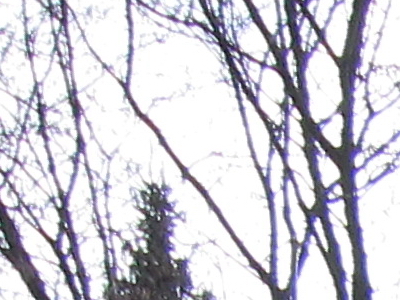 Canon IXUS 200 IS: poprvé dotykově