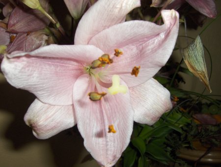 Photosmart R967: Překvapivě šikovné hápéčko