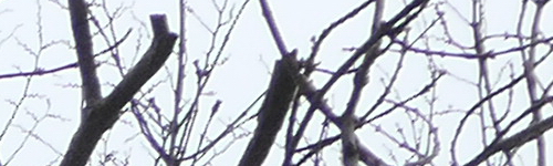 Panasonic Lumix LX15: noční borec