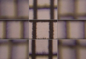 Tamron 16-300mm f/3.5-6.3 Di II VC PZD Macro