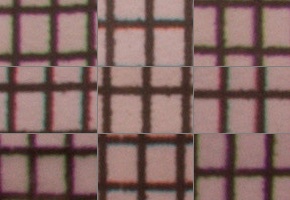 Canon EF-S 18-55mm F3,5-5,6 IS STM