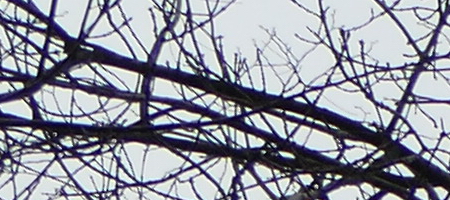 Panasonic Lumix FZ1000: legenda je zpátky