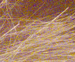 Panasonic Lumix FZ45 a FZ100: na vrcholu