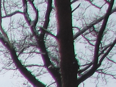 Canon PowerShot SX1 IS vs. SX10 IS: souboj CMOS a CCD