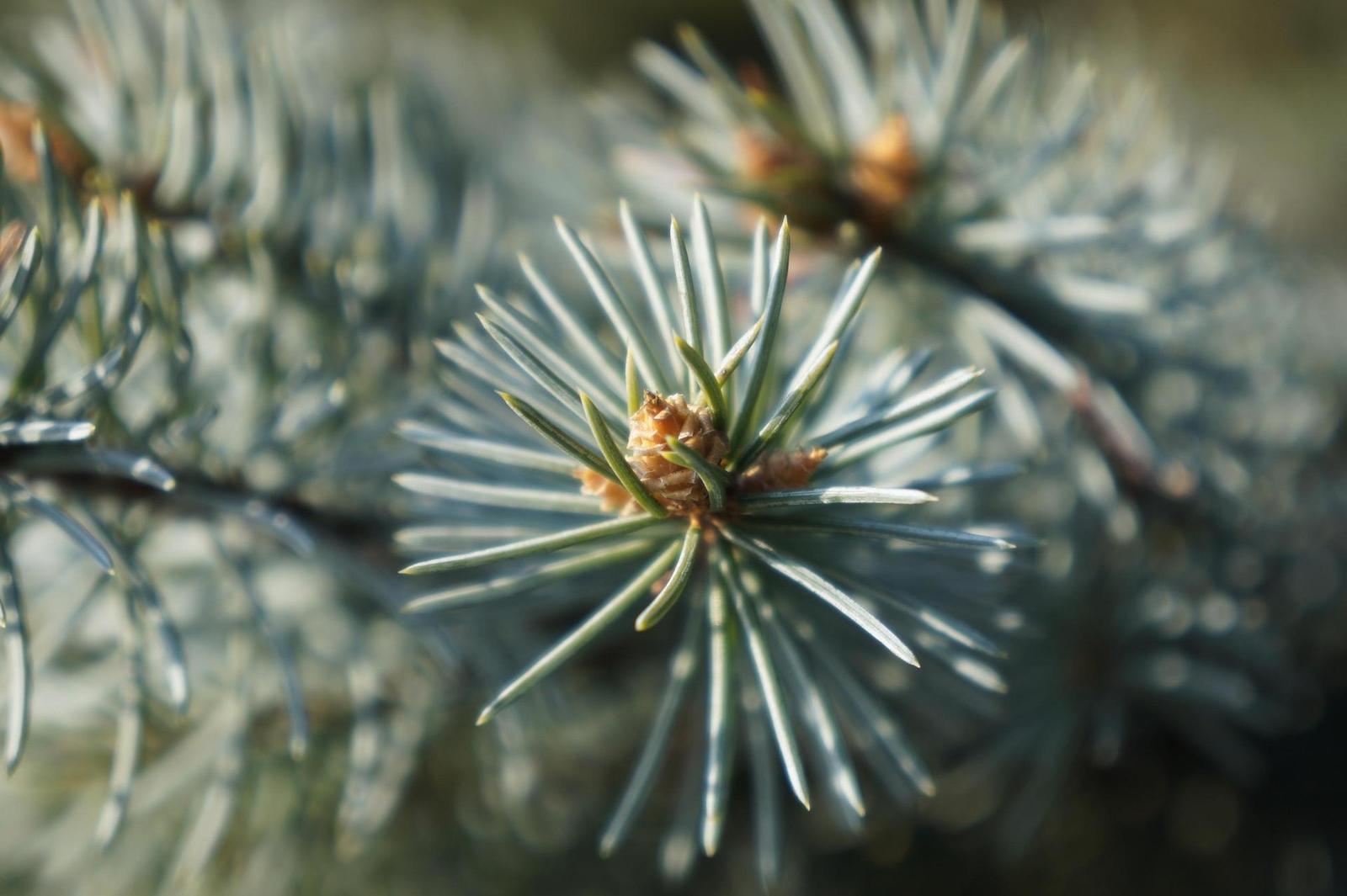 Sony a3000 (ILCE-3000): CSC co nejlevněji