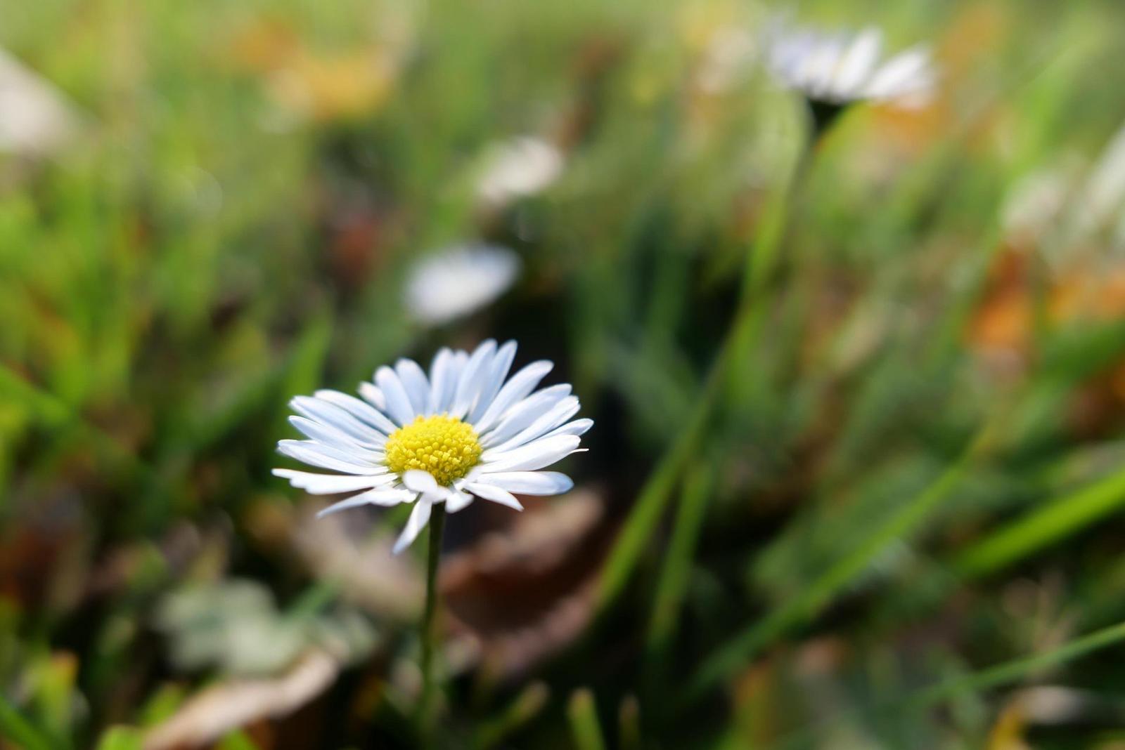 Panasonic Lumix LX100 II: postřehy z praxe