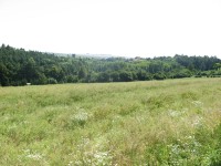 Canon PowerShot A540: Stříbrný šikula