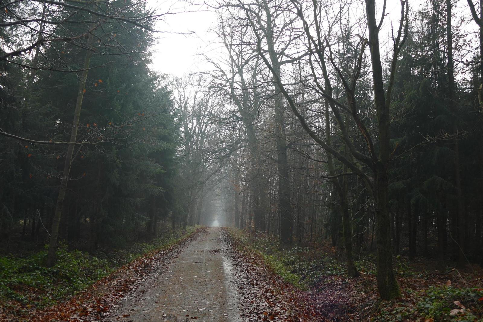 Panasonic Lumix FZ1000: legenda je zpátky