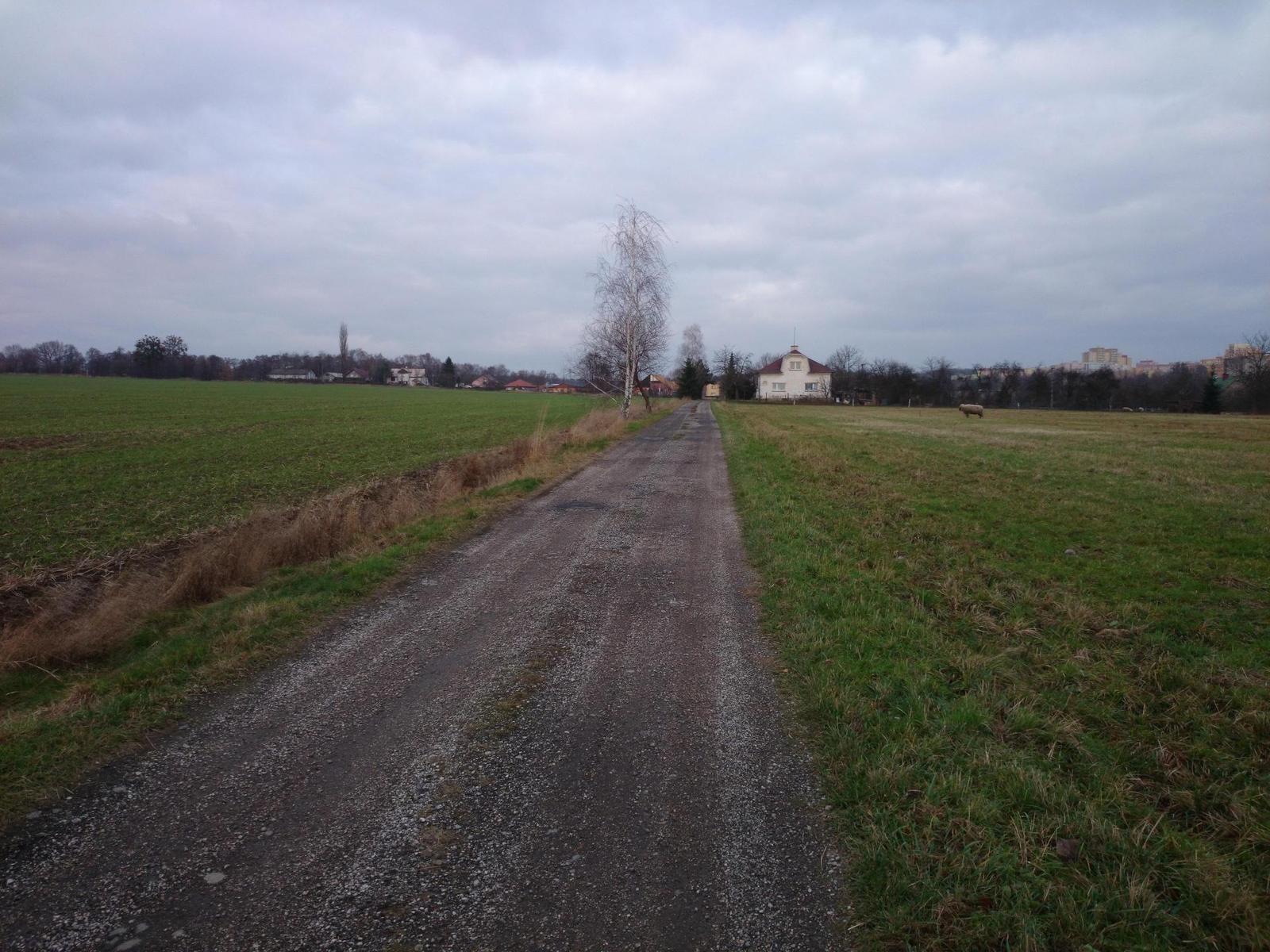 Sony Xperia Z1: megaAndroid