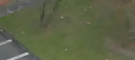 Panasonic Lumix FZ1000: legenda je zpátky