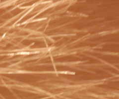 Canon EOS 500D: povedený pokračovatel rodu