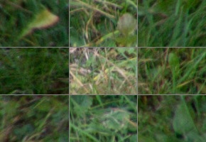 Nikon AF-P DX Nikkor 70-300 mm f/4,5-6,3G ED VR