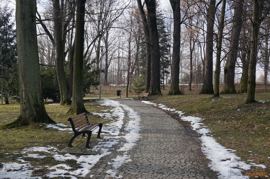 Sony SEL-P1650 (E 16-50mm 3.5-5.6/PZ OSS)