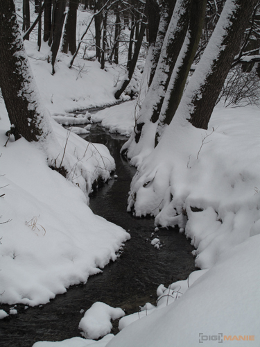 Canon PowerShot G10: stále mezi nejlepšími