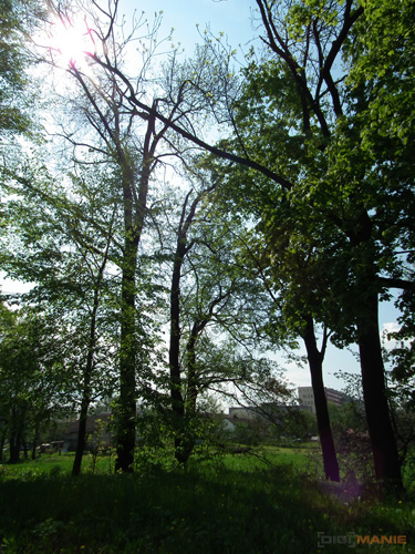 Fujifilm FinePix HS10: ultrazoom roku?