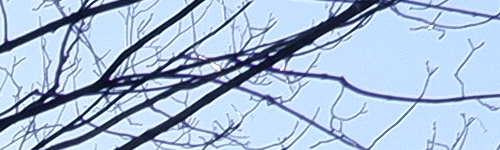 Fujinon XF 23mm F2 R WR