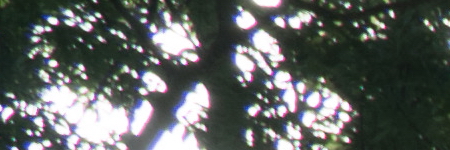 Sony E PZ 18-105mm F4 G OSS (SELP18105G)