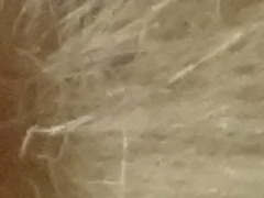 Sony Cyber-shot TX10: odolný zálesák