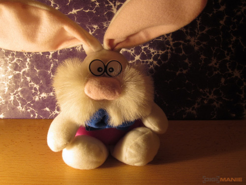 Canon IXUS 300 HS: superstylovka i pro náročné