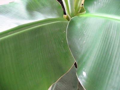 Tipy a Triky nejen pro začátečníky, díl 7. - Proč je stabilizace občas na nic