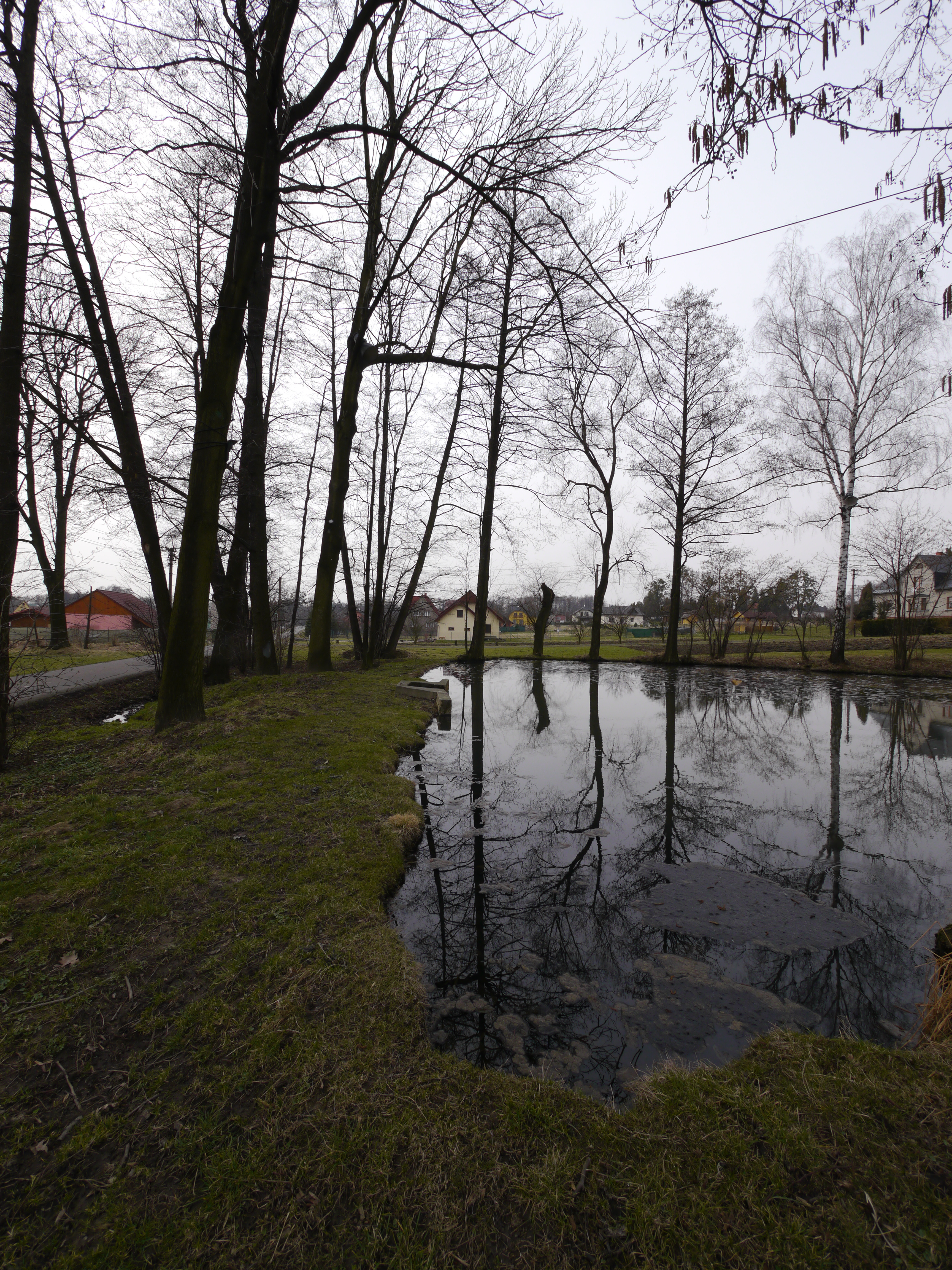 Panasonic LUMIX G VARIO 7-14mm F4.0