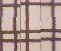 Nikon Coolpix L810: pro nenáročné