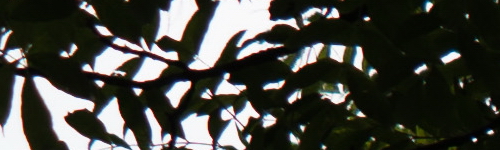 Panasonic Lumix S Pro 70-200mm F4 O.I.S.