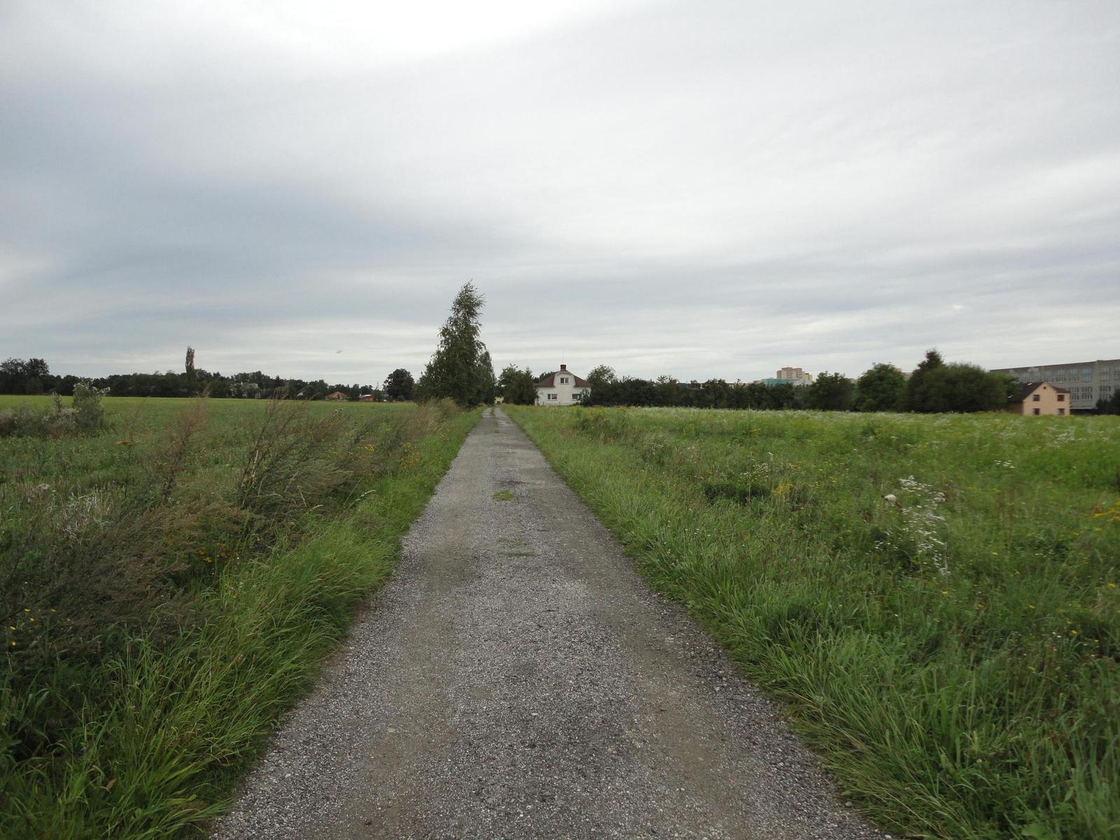 Sony Cyber-shot W350: šikovný prcek