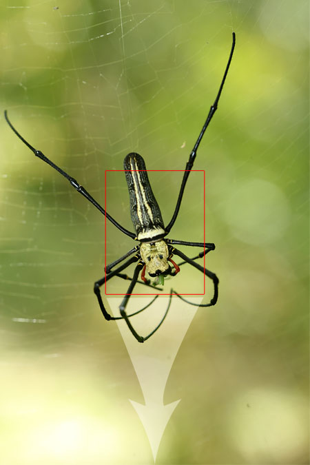 Jak je to s crop faktorem objektivu – 2.díl