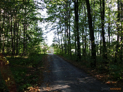 BenQ DC T1260: přítel citlivé peněženky