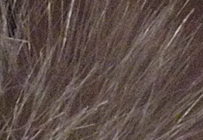 Olympus PEN E-P3: král všech PENů