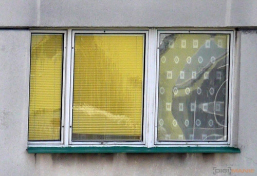 Fotíme s Koalou: Clona