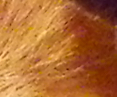 Pentax X70: neobyčejně univerzální kliďas