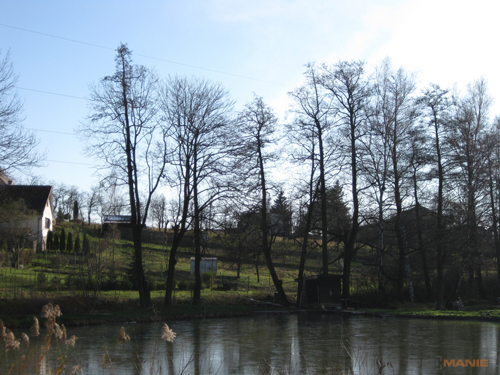 Canon PowerShot A1000 IS: ve stínu předchůdce