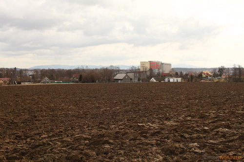 Canon EF 35mm f/1.4L USM