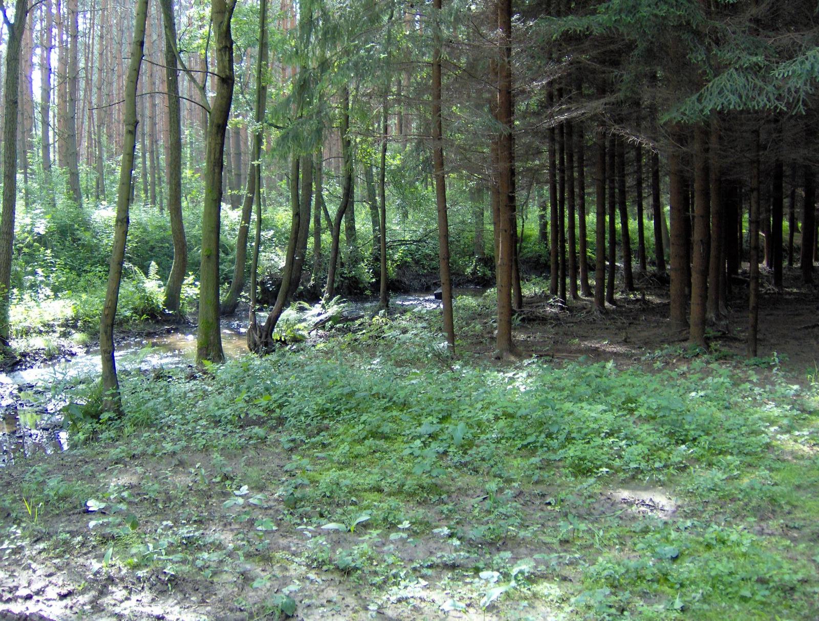 HP Photosmart M517 - projasněný pohled