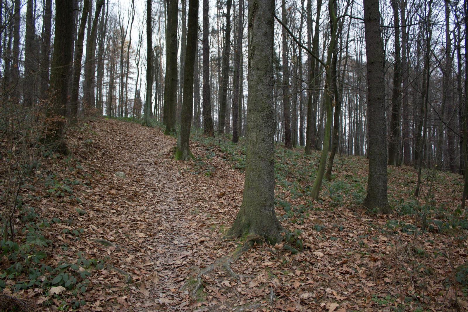 DSLR vs kompakt: Canon EOS 1200D s 18-55mm, Sony RX100