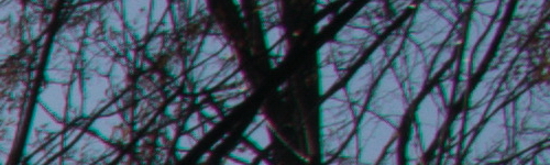 Nikon AF-P NIKKOR 18-55mm f/3.5-5.6G VR