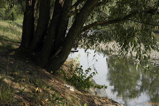 Samsung NX20: za více peněz více muziky