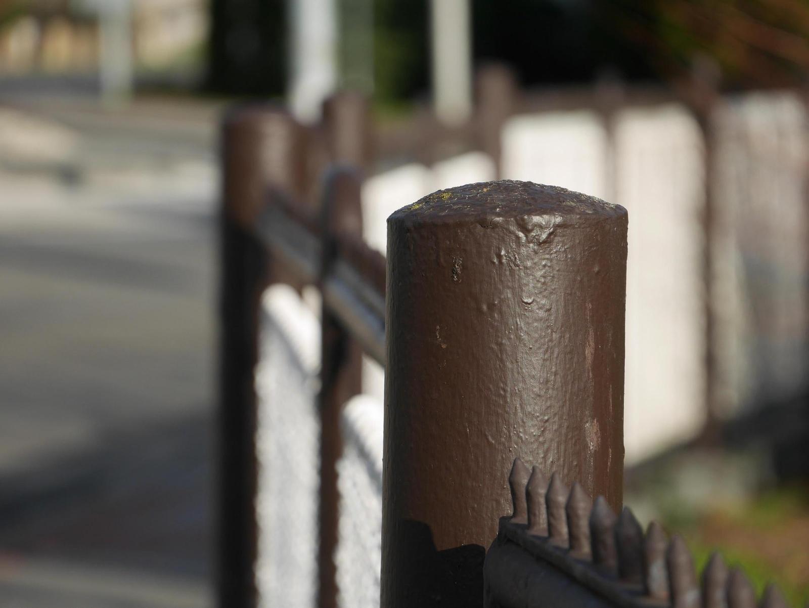 Panasonic Lumix G Vario 35-100mm F4-5.6 MEGA O.I.S.