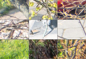 Panasonic Lumix S 24-105mm F4 Macro O.I.S.