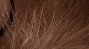 Panasonic Lumix FZ1000: legenda je zpátky