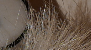 Panasonic Lumix LX100: pozoruhodný profi kompakt