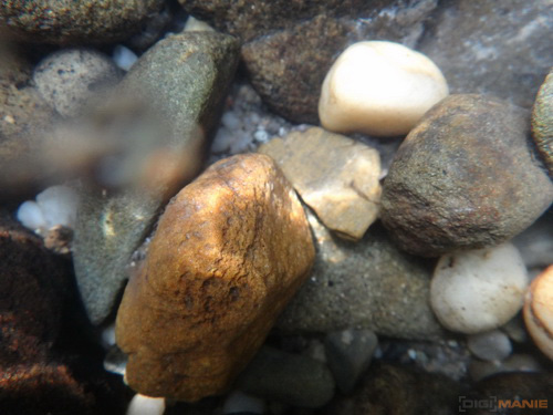 Sony Cyber-shot TX10: odolný zálesák